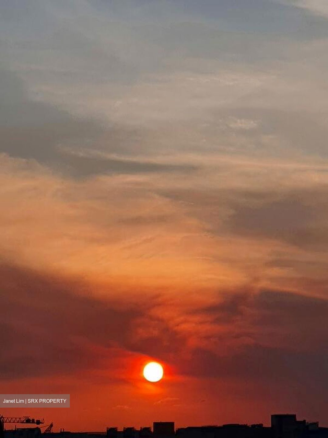 Sunrise Gardens (D28), Condominium #503878921